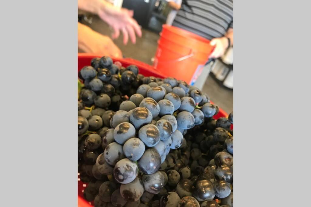 Cabernet Cottage コットンウッド エクステリア 写真